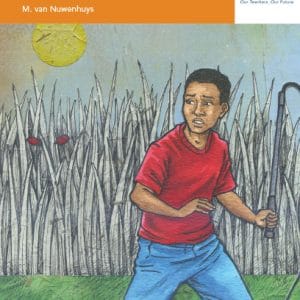 Via Afrika Afrikaans Eerste Addisionele Taal Graad 8 Novelle: Sweepsoldaat van Sondelani