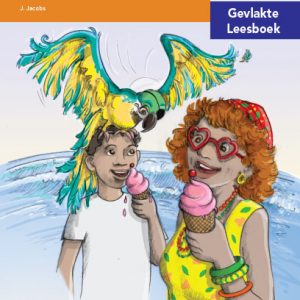 Via Afrika Intermediêre Fase Gevlakte Leesboek 2: Bennie Brink en die seerowerskat