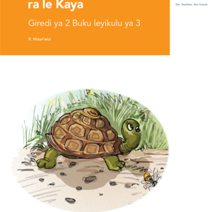 Via Afrika Xitsonga Home Language Grade 2 Big Book 3