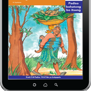 eBook (ePDF): Via Afrika Sesotho Home Language Intermediate Phase Graded Reader 14: Nkgono le dintho tsa naheng