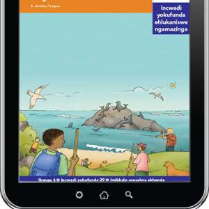 eBook (ePDF): Via Afrika isiZulu Home Language Intermediate Phase Graded Reader 29: Amaqhawe aseHout Bay